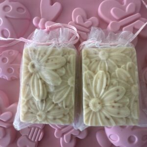 ison product